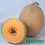 КС 6147 F1 / KS 6147 F1 - насіння дині, Kitano Seeds