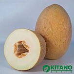 КС 6188 F1 / KS 6188 F1 - насіння дині, Kitano Seeds