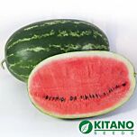 КС 632 F1 / KS 632 F1 - семена арбуза, Kitano Seeds