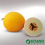 КС 7066 F1 / KS 7066 F1 - насіння дині, Kitano Seeds