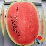 НЕПТУН F1 / NEPTUN F1 - насіння кавуна, Takii Seeds