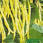 ОЛЬГА / OLGA - насіння квасолі, Satimex