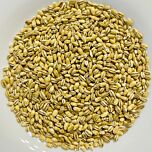 Перловая крупа оптом — мешки 25/50 кг, ДСТУ