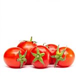 ПРЕГІАТО F1 / PREGIATO F1 - насіння томата (помідор), Cora Seeds