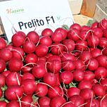 ПРЕЛІТО F1 / PRELITO F1 - насіння редису, Hazera