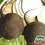КРУГЛА ЧОРНА / ROUND BLACK - насіння редьки, Sais