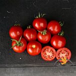 ШАСТА F1 / SHASTA F1 - насіння томата (помідора), Spark Seeds