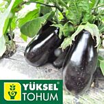 ВИЗИР F1 / VIZIR F1 - семена баклажана, Yuksel Tohum