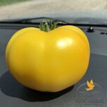 ЄЛЛОУ БОЛЛ F1 / YELLOW BALL F1 - насіння томата (помідора), Spark Seeds