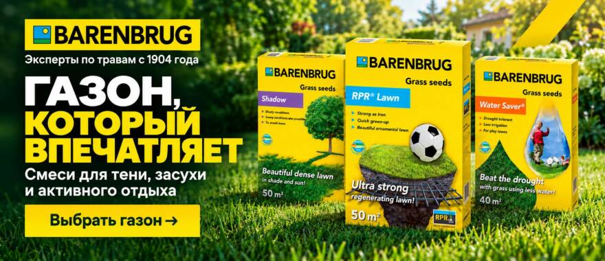 https://new-seeds.com.ua/ru/brand/barenbrug https://new-seeds.com.ua/ru/brand/barenbrug
