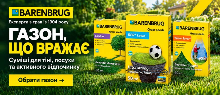 https://new-seeds.com.ua/ua/brand/barenbrug https://new-seeds.com.ua/ua/brand/barenbrug