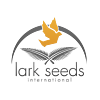 Lark Seeds
