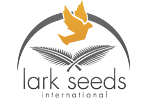 Lark Seeds