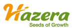 Hazera