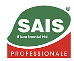 Sais