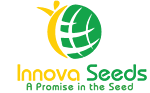 INNOVA SEEDS