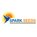 Spark Seeds