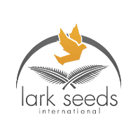 Lark Seeds