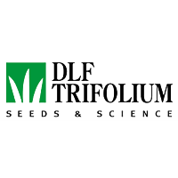 DLF Trifolium