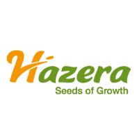 Hazera