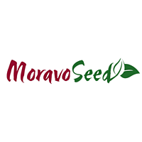 Moravoseed