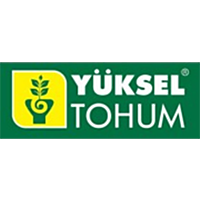 Yuksel Tohum