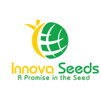 INNOVA SEEDS