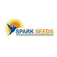 Spark Seeds