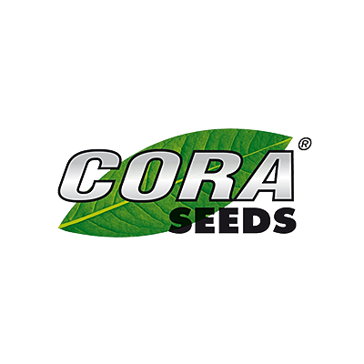 Қызыл телпек эротикалық квест ойыны