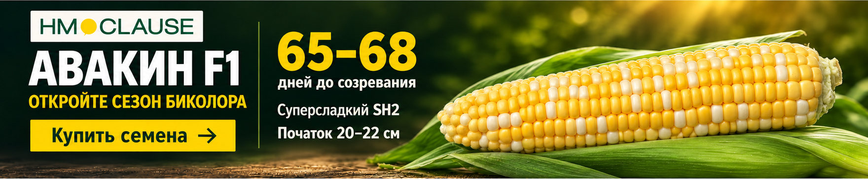 Семена сахарной кукурузы Авакин F1, HM.Clause