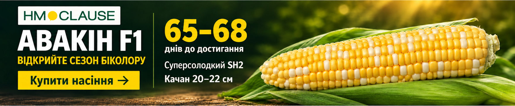 Насіння цукрової кукурудзи Авакін F1, HM.Clause